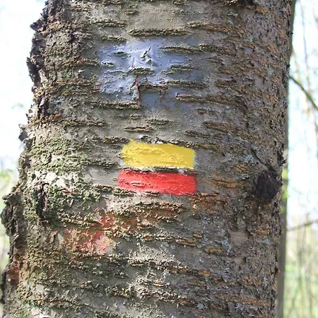 Journal Aux Lacs-5pers Фруашапель